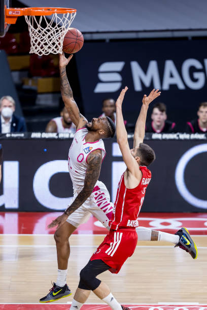 的地面嗅觉 的地面嗅觉